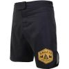 Golden Lion Fight Shorts (Men) Photo 1